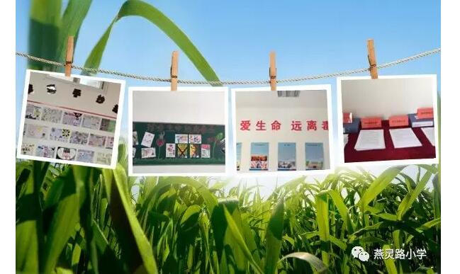 QQ截图20190424084925.jpg